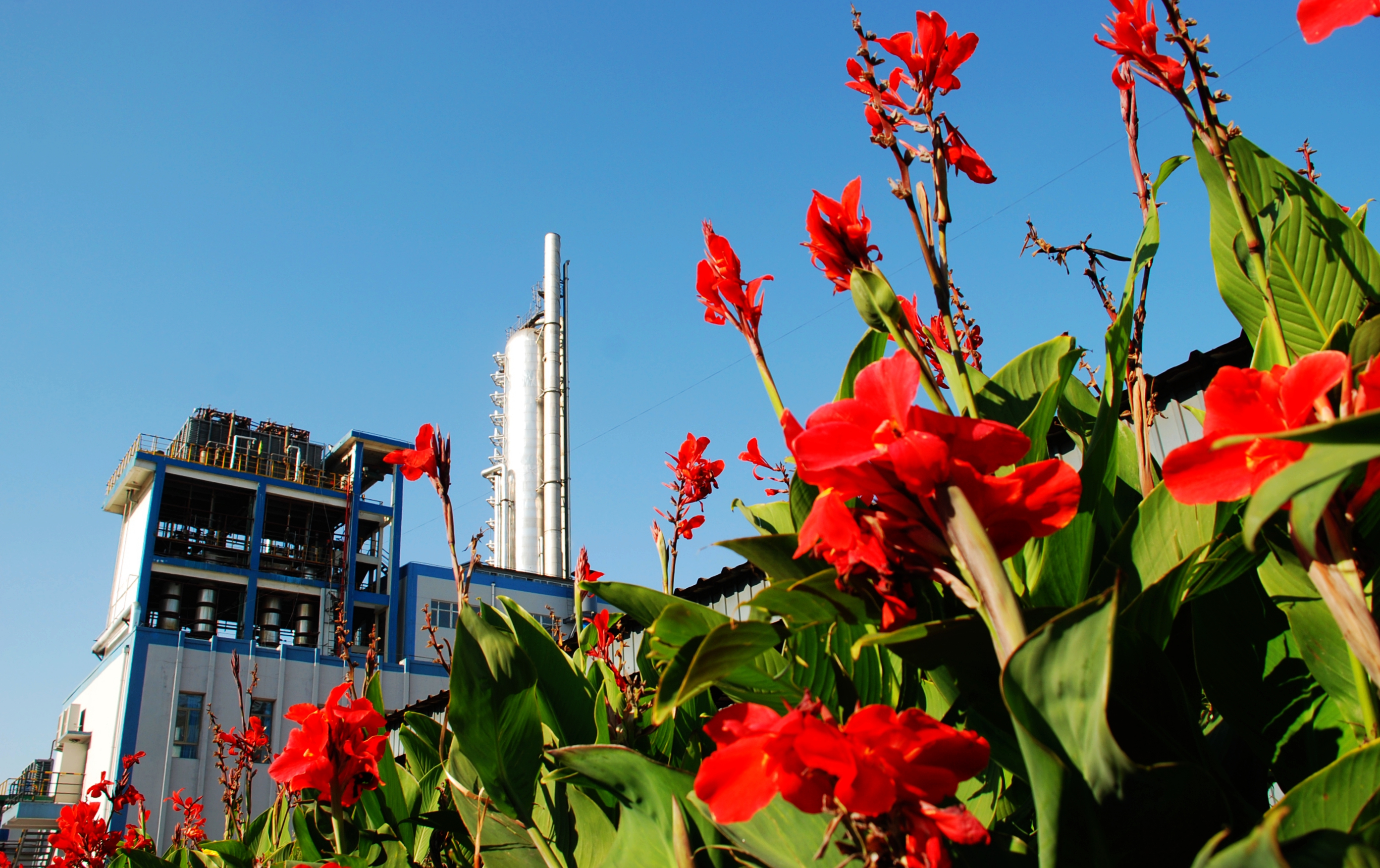 吉林雷火电竞官方网站康乃尔化工有限公司