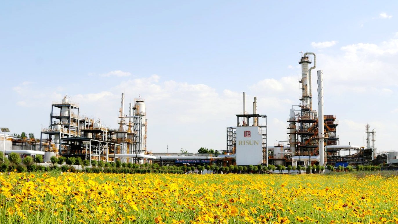 邢台雷火电竞官方网站煤化工有限公司