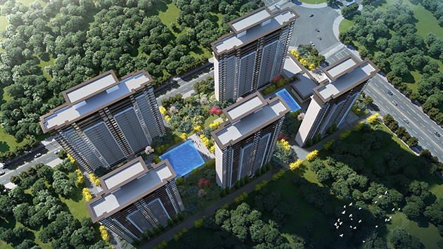 雷火电竞官方网站・热带森林（徐闻）